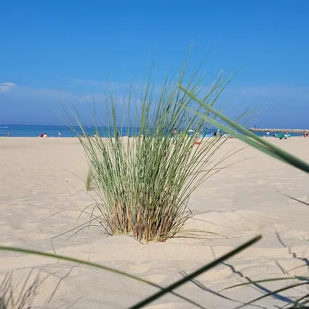 דירה Caloroczne Nad Morzem Kraina Baltyku Przewloka (Pomerania)