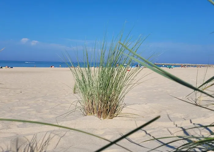 Апартаменты Caloroczne Nad Morzem Kraina Baltyku Przewloka (Pomerania)